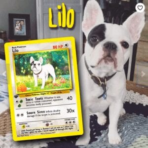 You Can Now Buy Custom Cards Featuring Your Pet