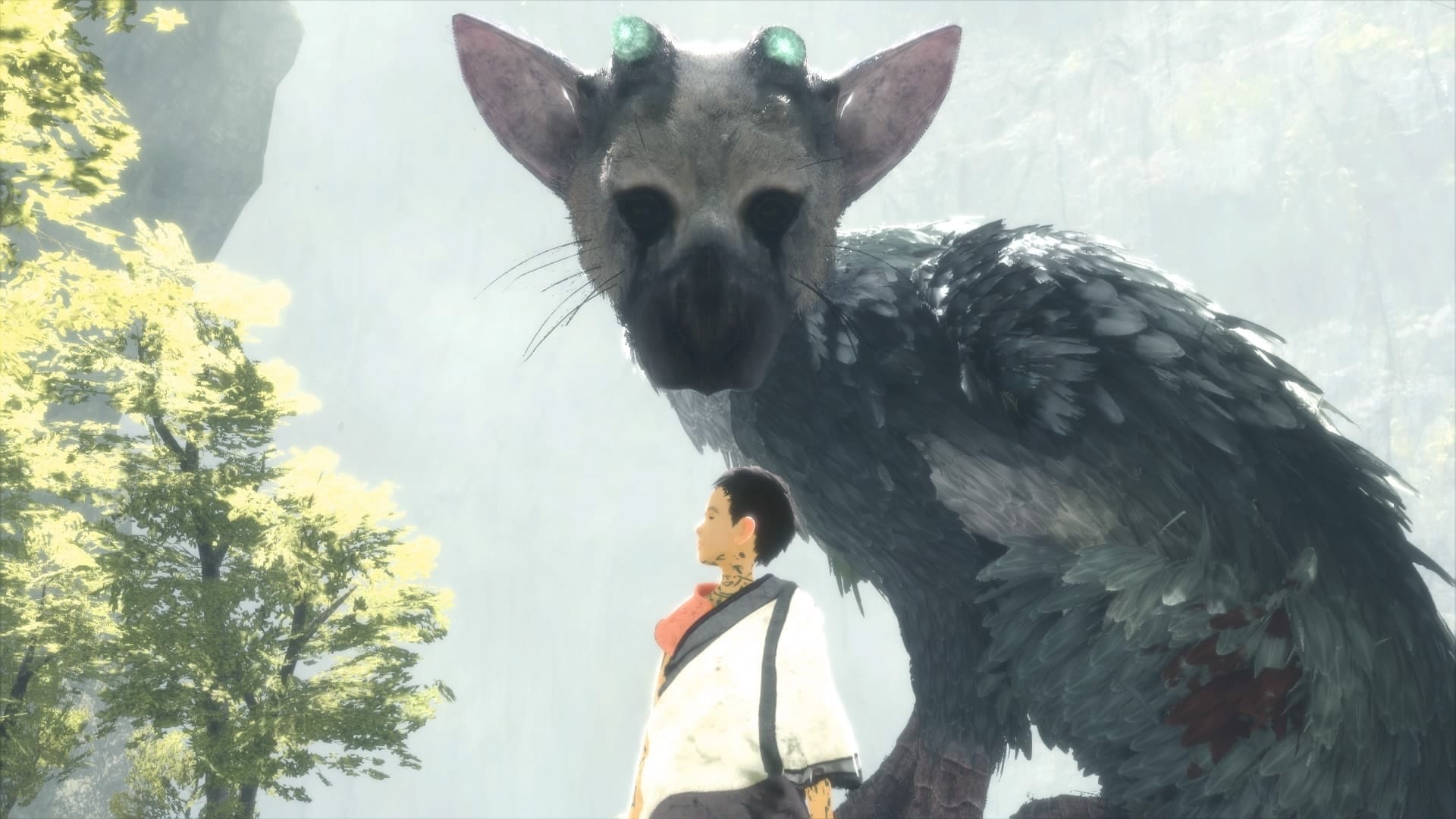 Shadow of the Colossus and The Last Guardian developers tease