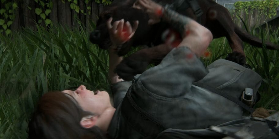 Image result for The Last Of Us Part II dogs