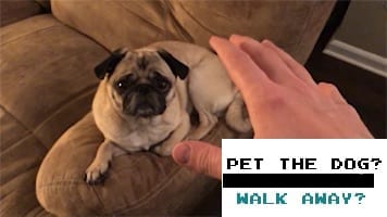 image from game pet the dog?