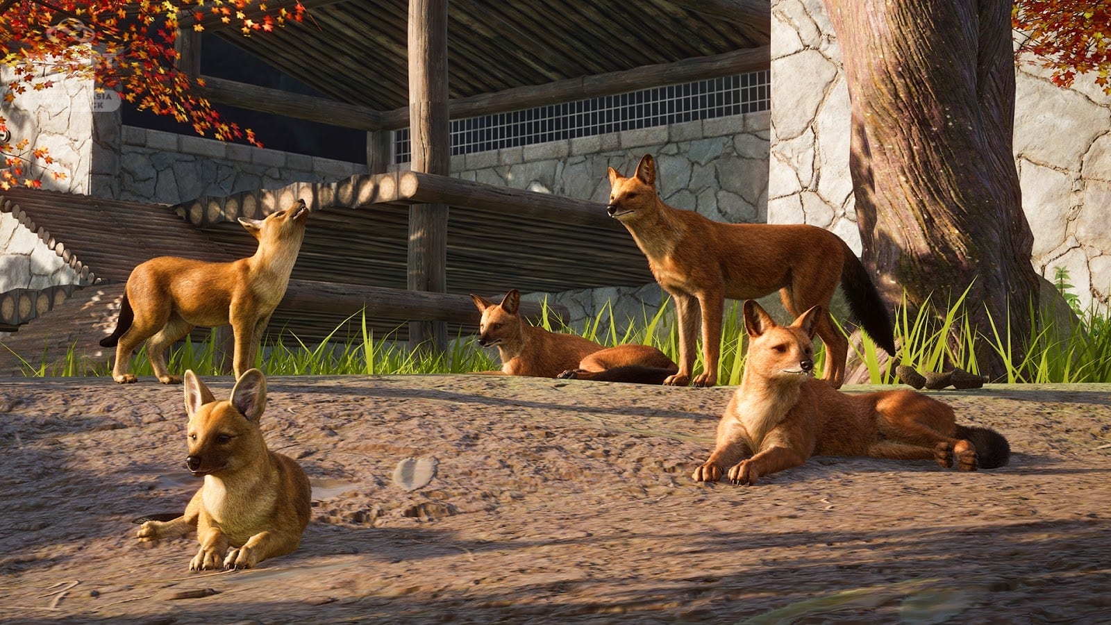 Planet Zoo’s Southeast Asia Animal Pack Introduces New Creatures Great