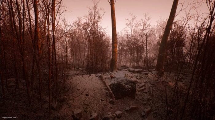 abandoned ps5