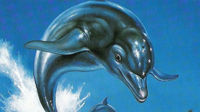 Echo the dolphin Megadrive