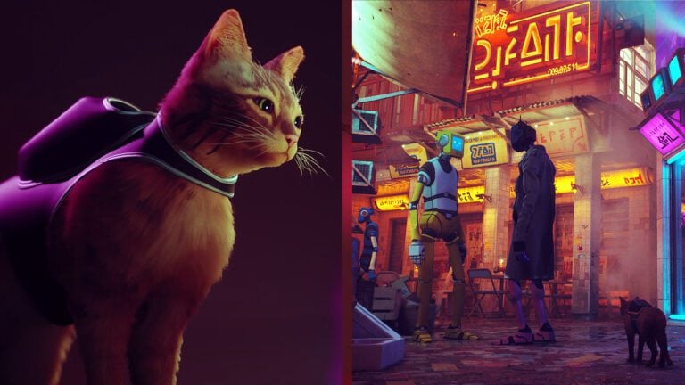 Upcoming Cat Simulator #39 Stray #39 Release Date Possibly Leaked Upcoming Cat Simulator #39 Stray #39 Release Date Possibly Leaked