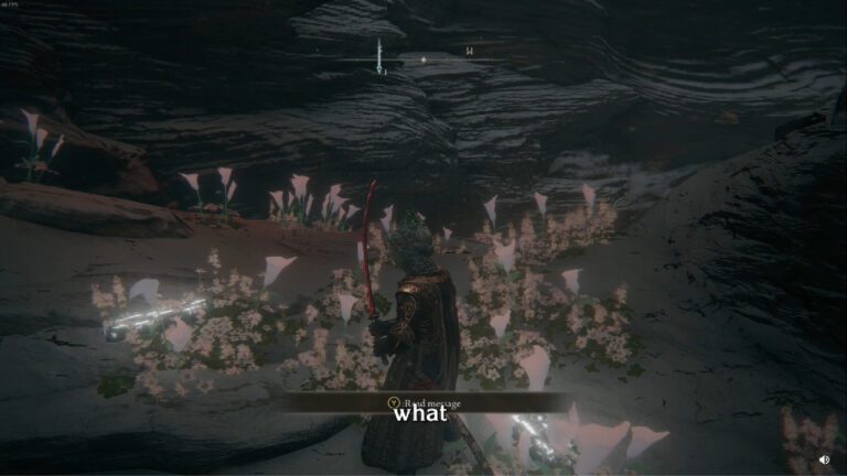 Elden ring accidentally killed npc