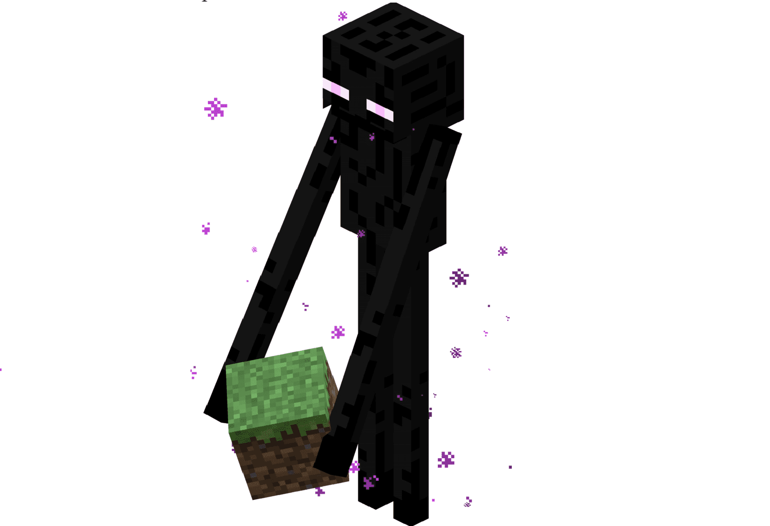 Enderman Everything You Need To Know